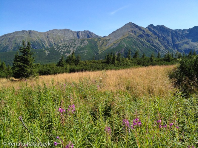 A view on the mountains on the left when walking on Krolowa Rowien towards Hala Gasienicowa. 