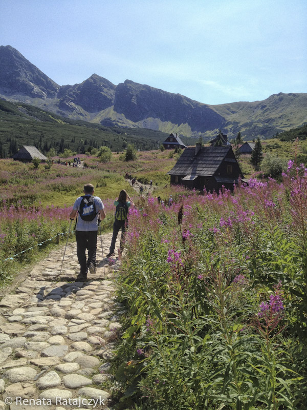 The trail has finally reached Hala Gasienicowa. A hut called "Betlejemka" on the right is a place where aspiring mountaineers are being trained. Tatra mountains, Poland. 