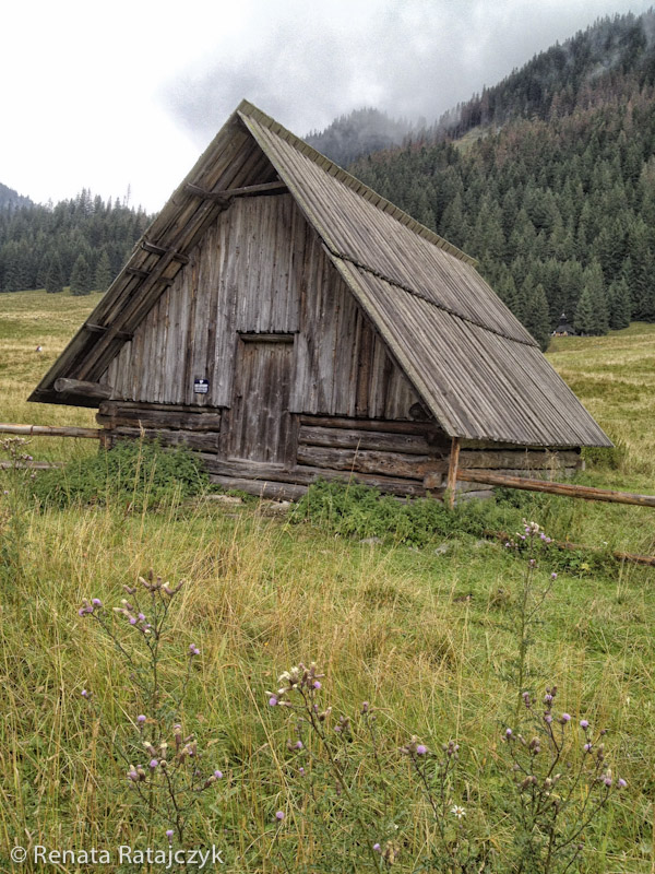 A close up of one of the huts on Chocholowska Polana, Tatra mountains, Poland. 