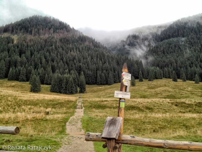 A side trail leading towards a small chapel on the nearby hill. Dolina Chocholowska, Tatra mountains, Poland. 