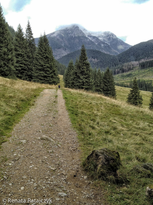 A trail leading to the small chapel from Schronisko in Dolina Chocholowska, Tatra mountains, Poland. 